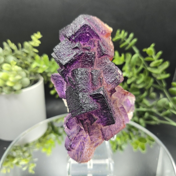 Other - Fluorite from El Filo Mine Durango Mexico